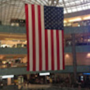 Meet your Posher, Rose